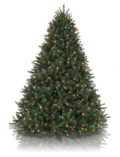 Classics 6.5' Rocky Mountain Pine Artificial Christmas Tree Light Color: Multi (Christmas Tree)