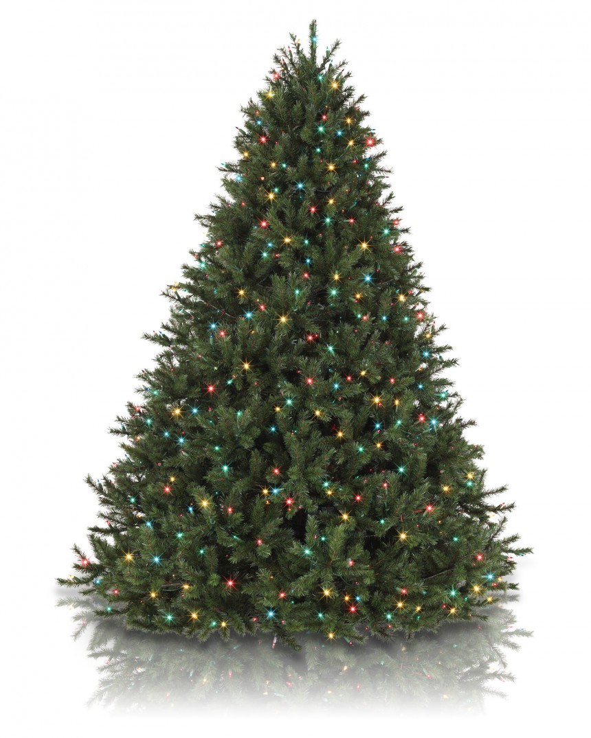 Classics 6.5' Rocky Mountain Pine Artificial Christmas Tree Light Color: Multi (Christmas Tree)