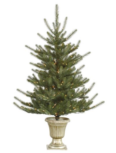 5 foot Potted Colorado Spruce Christmas Tree For Christmas 2014
