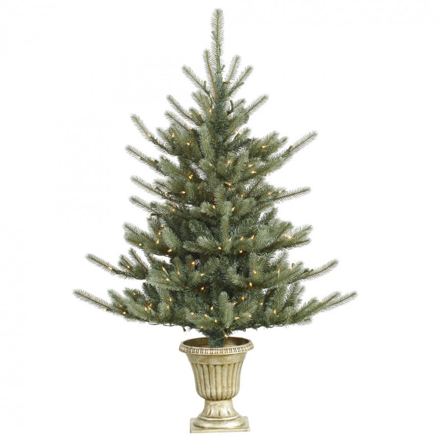 5 foot Potted Colorado Blue Spruce Christmas Tree with Dura-Lit Lights For Christmas 2014