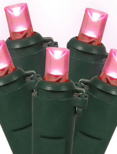 Vickerman 100 Light Green Wire Pink LED Wide Angle Christmas Light (Christmas Tree)