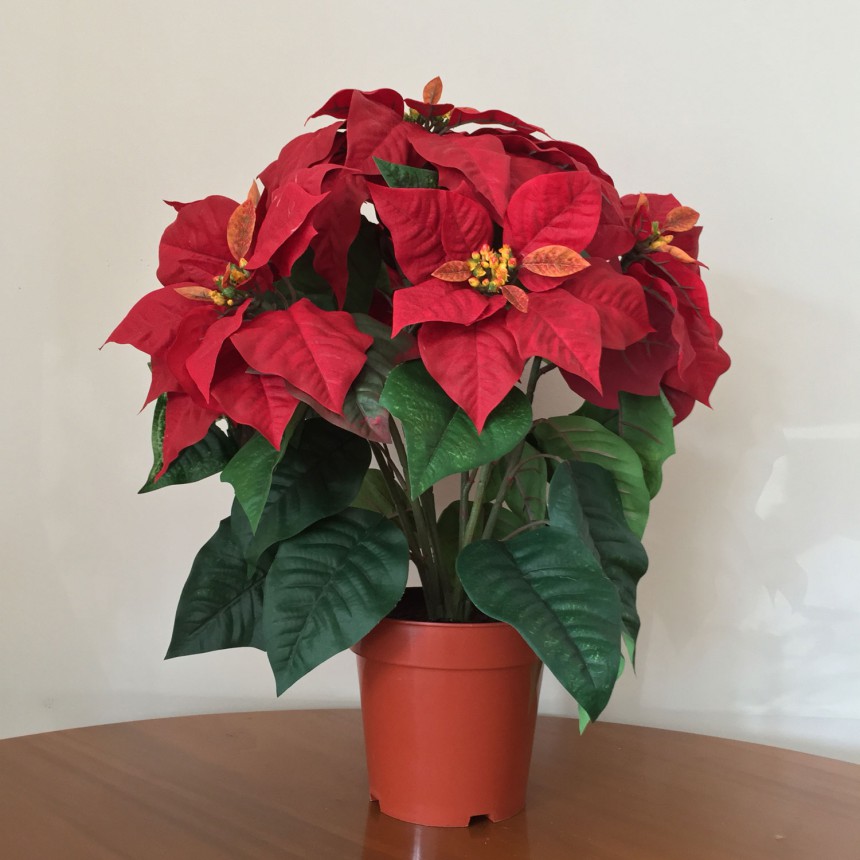 18 inch Poinsettia Bush with 7 Flowers (IFR Rated) - CLOSEOUT For Christmas 2014
