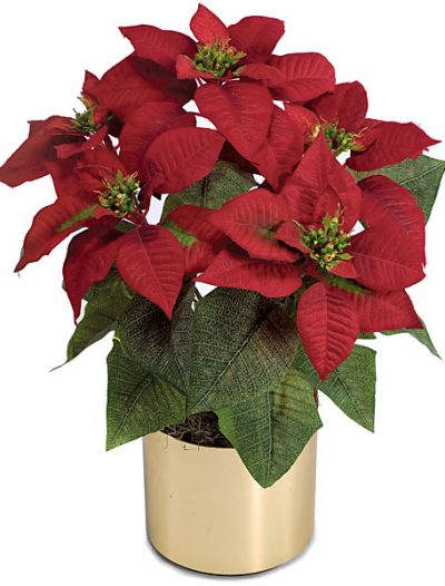 19 inch Red Poinsettia Bush: Set of (12) For Christmas 2014