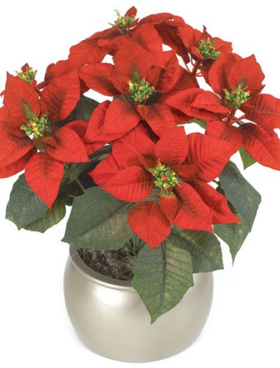 23 inch Poinsettia Bush with Red Flowers: Set of (6) For Christmas 2014