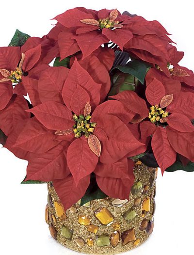 18 Inch Poinsettia Bush: Set of (6) For Christmas 2014