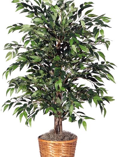Vickerman 4' Green Smilax Bush (Christmas Tree)