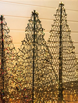 Crab Pot Trees Fisherman Creations 4 ft. Artificial Christmas Tree- Folds Flat with Incandescent Clear Lights G4C (Christmas Tree)