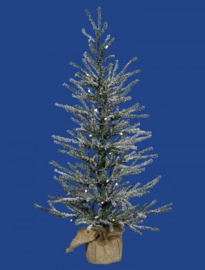 Frosted Angel Pine Christmas Tree For Christmas 2014