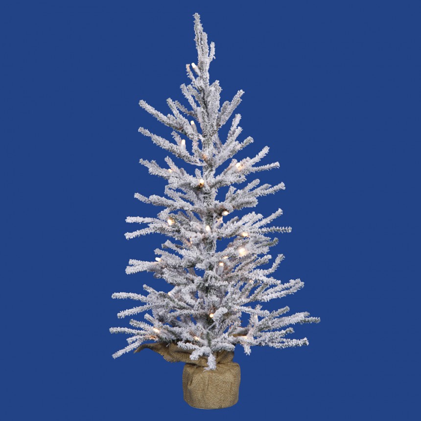 Flocked Angel Pine Christmas Tree For Christmas 2014
