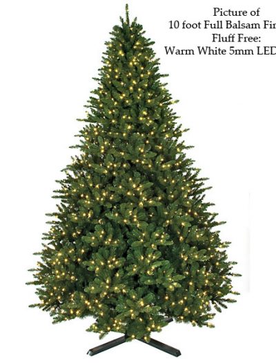 Fluff Free Full Balsam Fir Christmas Tree For Christmas 2014