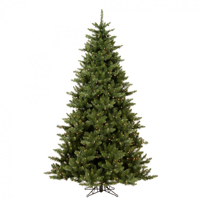Camdon Fir Christmas Tree For Christmas 2014
