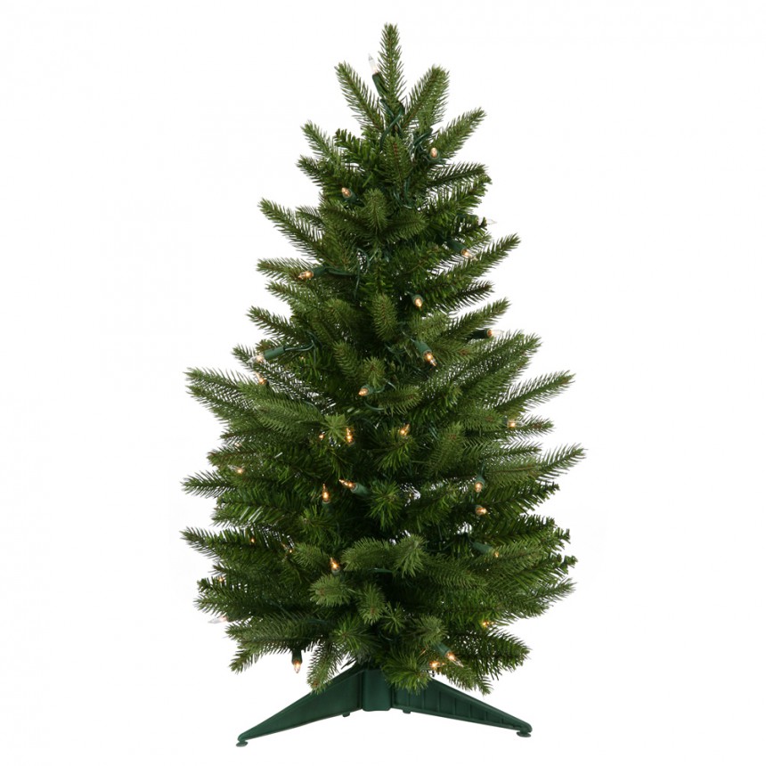 Frasier Fir Christmas Tree For Christmas 2014