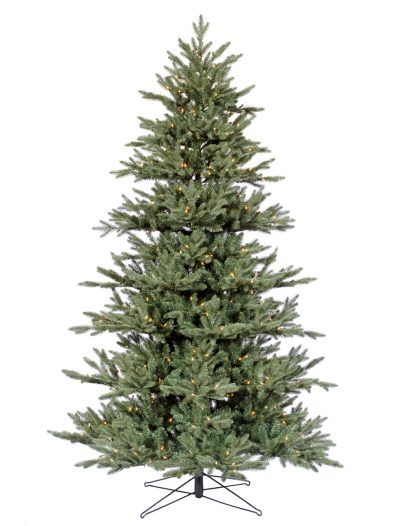 Medium Blue Noble Fir Christmas Tree For Christmas 2014
