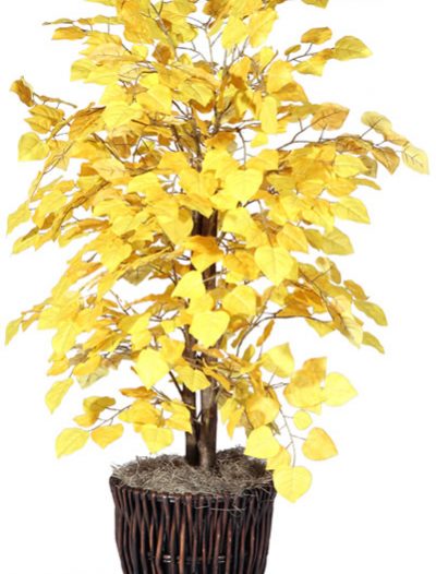 Vickerman Co. Deluxe 4' Artificial Potted Natural Ficus Tree in Yellow (Christmas Tree)